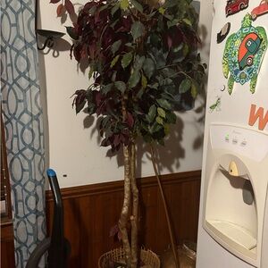 Artificial Ficus Tree with Basket